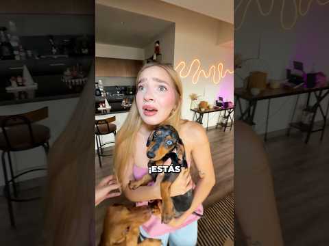 SORPRENDÍ A MI NOVIA con una PERRITA 🐶😍😭