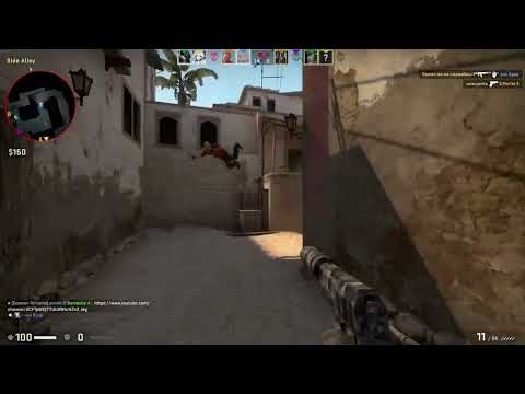 Steam Community :: Video :: CS GO Goofy ahh moment