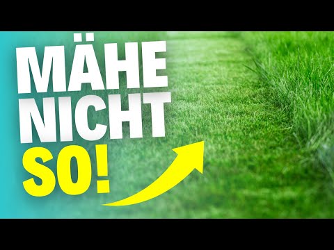 4 Rasenmäh-Fehler, die für einen gesunden Rasen zu vermeiden sind!