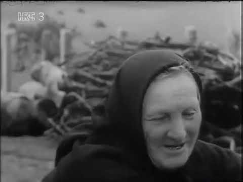 Sumorna jesen Ep07 - Labudova kuća