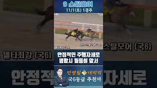 [서울 경마] 민병철 대박픽 2025년 11월 1일 토요 1R 추천마1 #경마 #하이라이트 #한국마사회 #검빛 #고배당 #코리아