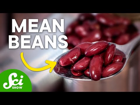 download lagu mp3 mp4 Raw Kidney Beans Death, download lagu Raw Kidney Beans Death gratis, unduh video klip Raw Kidney Beans Death