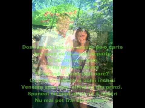 Prisaca bihor Mihaela