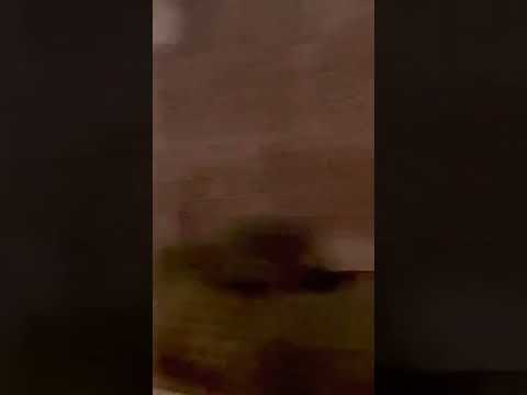 9/26/22 Northbound on Fremont in Alhambra to work