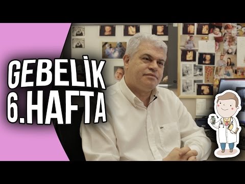 Doktor Evinde - Gebelik 6. Hafta