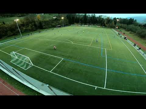 Orginal Video 3. Liga FC Reichenbach - FC Oberdiessbach vom 03.11.2018