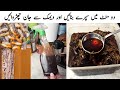 Sirf 1 Spray Aur Deemak Gayab 100 Kaam Karne Wala Nuskha L 5 Minutes Main Dheemak Khtam