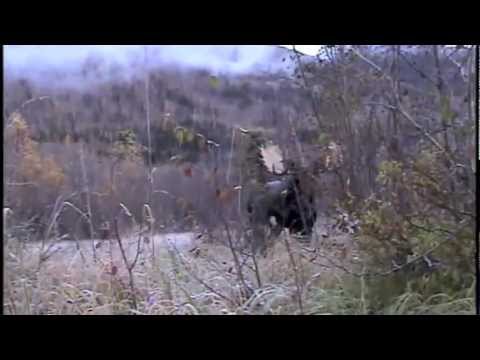 download lagu mp3 mp4 Ceaser Lake Outfitters, download lagu Ceaser Lake Outfitters gratis, unduh video klip Download Ceaser Lake Outfitters Mp3 dan Mp4 Free All Gratis