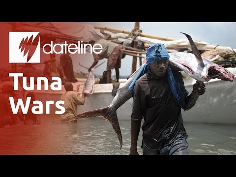 Tuna Wars