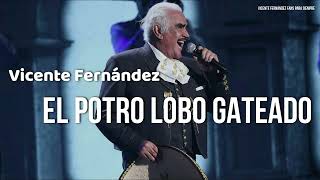 Vicente Fernández - El Potro Lobo Gateado (Letra/Lyrics)