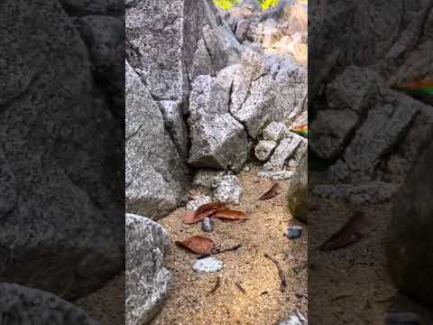 san José de la montaña