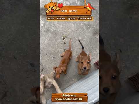 Vídeo de Sem nome 