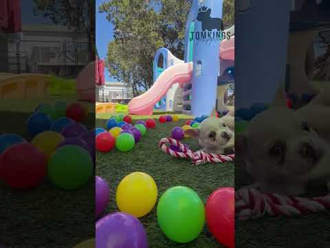 Video 3