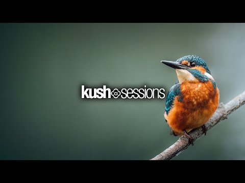 #283 KushSessions (Liquid Drum & Bass Mix)