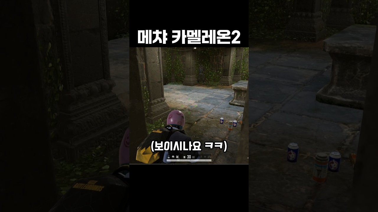 사녹 루인스에서 배우는 카멜레온 전술