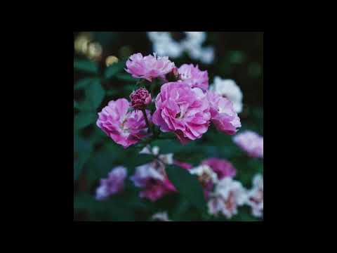 Emmanuel Ele - FLOWERS III
