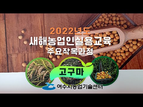 2022년도 새해농업인실용교육 – 고구마