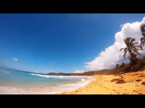 Noah Preminger Group - Zigsaw Teaser 1