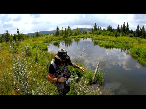 2 Days Alone Fishing Wild Trout Across Saskatchewan / Catch n Cook Ep.1