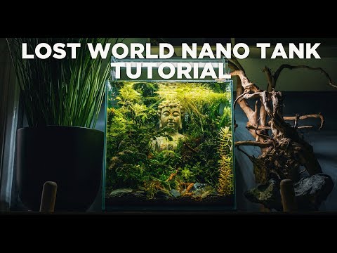 How to make your own LOST WORLD nano tank - STEP BY STEP TUTORIAL