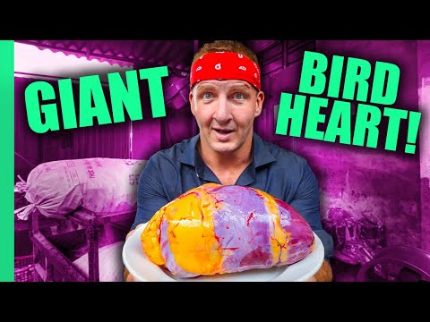 Can You Eat That?? World’s STRANGEST Animal Organ Dishes!! | Full Series (Sonny & Calvin)