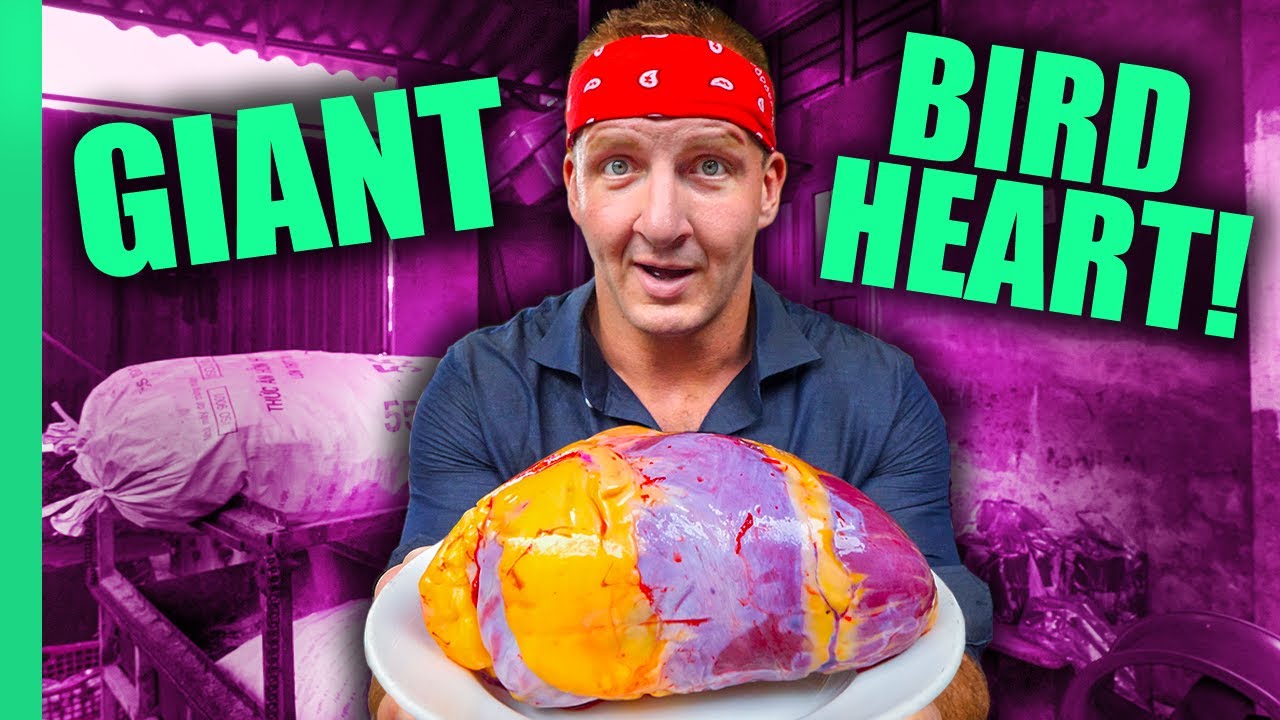 Can You Eat That?? World’s STRANGEST Animal Organ Dishes!! | Full Series (Sonny & Calvin)