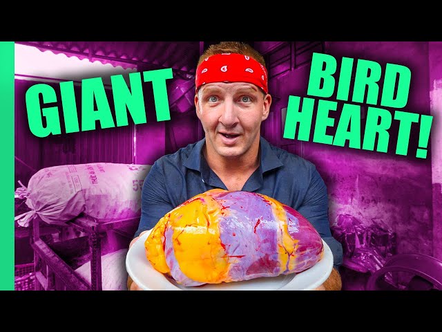 Can You Eat That?? World’s STRANGEST Animal Organ Dishes!! | Full Series (Sonny & Calvin) SDDEFAULT Thumbnail