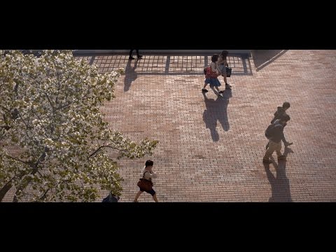 明学の理由。 （2014ver.）
