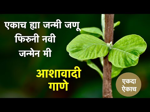एकदा ऐकाच, आशावादी गाणे. एकाच ह्या जन्मी जणू फिरूनी नवी जन्मेन लिरिक्स  Ekach Hya Janmi Janu lyrics.