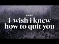 Sombr I Wish I Knew How To Quit You Lyrics