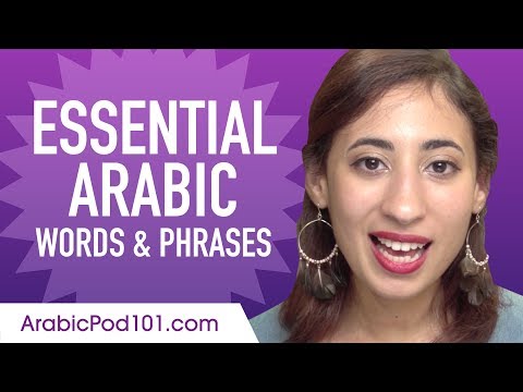 Essential Arabic Words and Phrases to Sound Like a Native