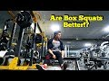 Trying Something New! | Why I Started Doing Box Squats | Full LegDay #LFTeam