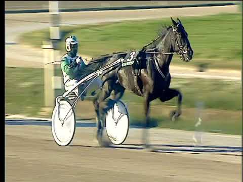 Trotto 23/01/2018 - 1ª corsa