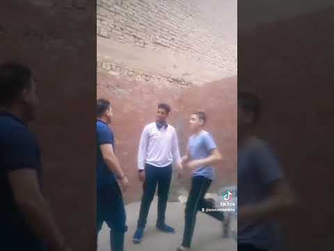 فيديو يخليك تشخ من الضحك ضحك هستري تيك توك