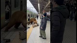 AIが考える駅にクマが現れたら #aivideo #aishorts #お笑い