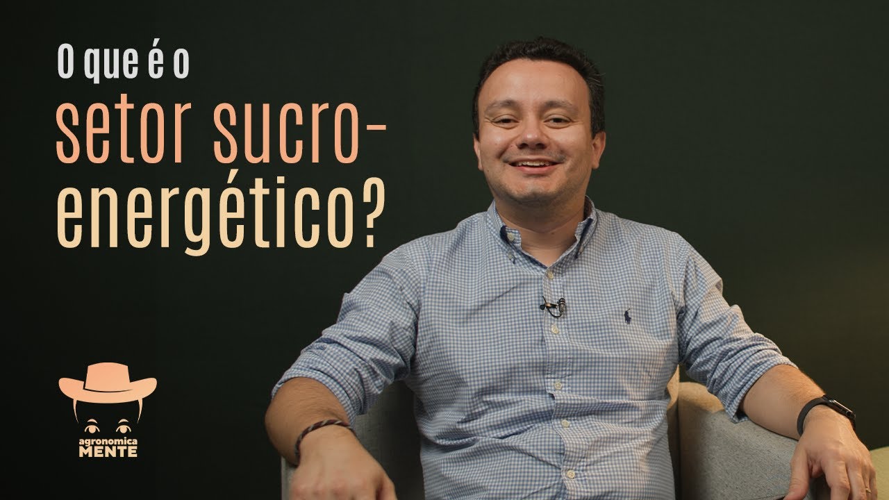 O que é o setor sucroenergético brasileiro?