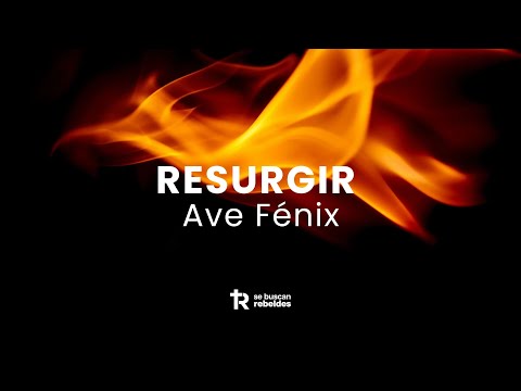 Resurgir de las cenizas como el Ave Fénix