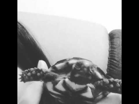 StefanyVazOFC’s Video 65473308866 jdi9E4iSGz0