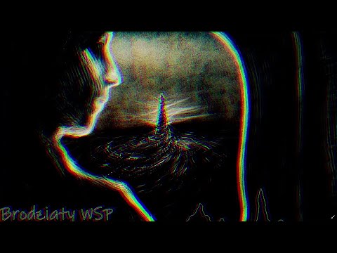 Brodziaty WSP - Sentymentalnie (Defraut) #2