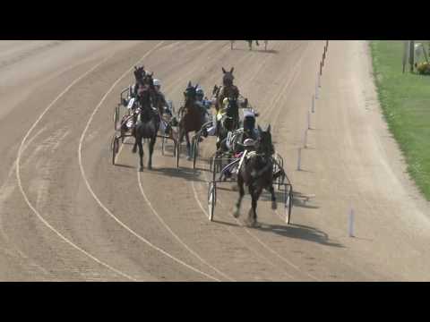 2017.07.22. 7. futam - WILLIAMS HENDIKEP