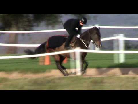 2012-08-11 Franny at Summerveld