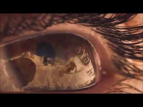 Don Feymez feat. Bassam Khan - I see Fire [mit Begleitvideo HD]