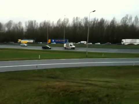 Say Cheese Gouda A12