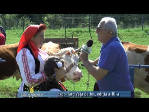 satul hunedorean 29 mai 2016