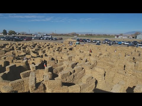Bozeman Maze celebrates fall tradition using over 5,000 hay bales