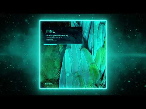 PREMIERE: Novak (notsoserious) - Vivid Imagination (Original Mix) [MNL]