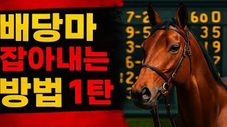 경주거리 1700미터 입상 패턴 특징 - 두가지 사례, 배당판에 휘둘리지 마라! #경마정보