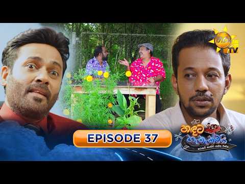 Hiru TV