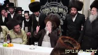 שמחת המועד בביהמד נועם השם ברסלב בראשות פאר הדור הגהצ ר' יעקב מאיר שכטר