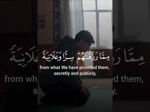 What a Beautiful Recitation By Tarek Mohammed #only muslim can relate this #explore